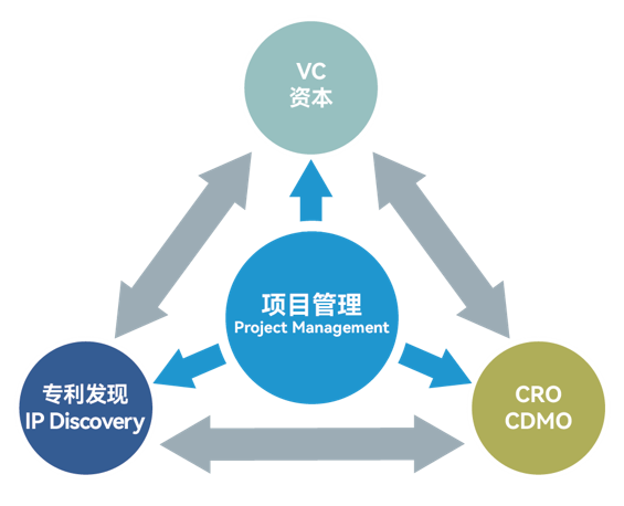 新药VIMC研发模式，优化研发管理效率