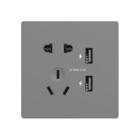 二三极双USB插座