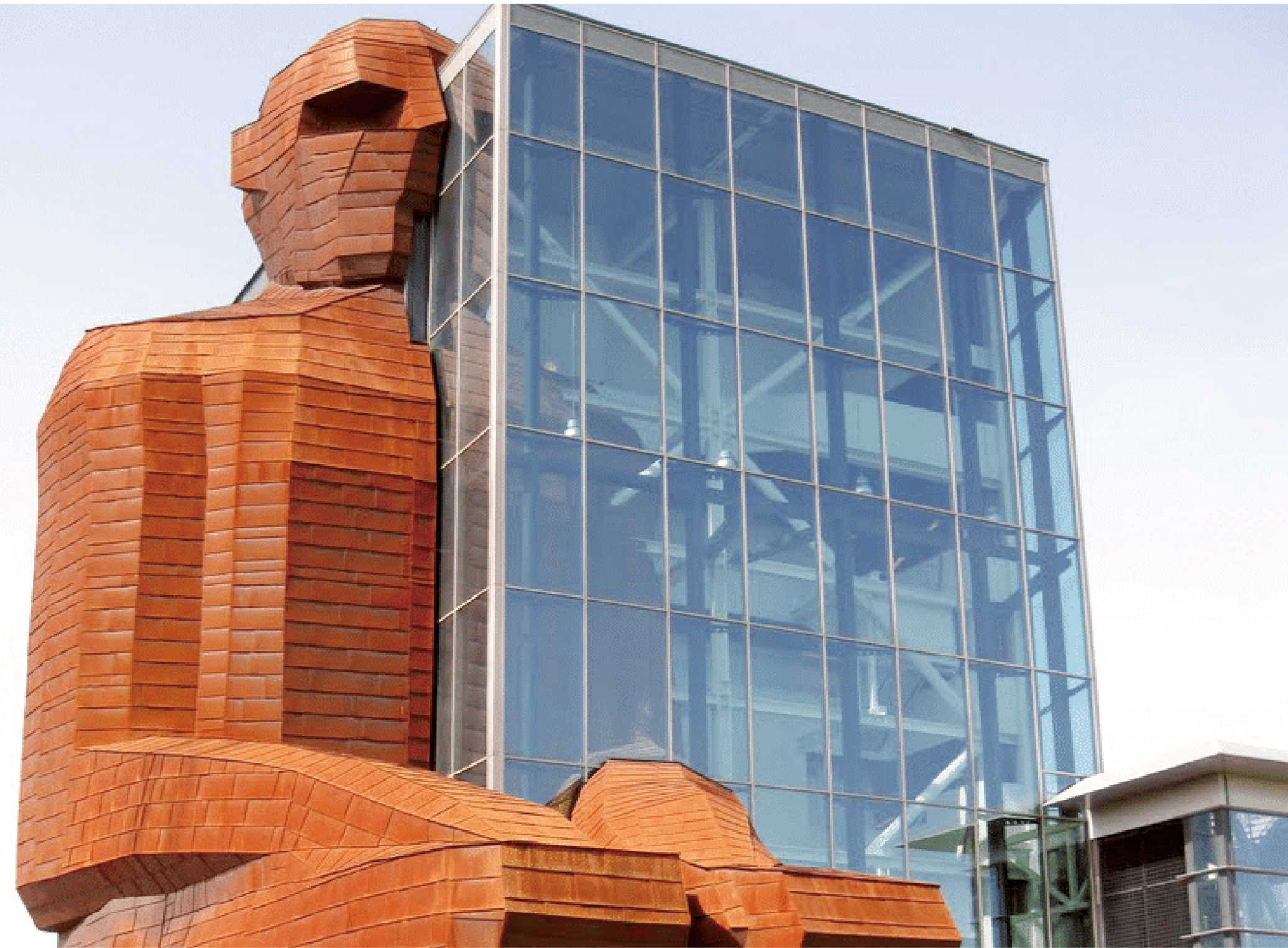 人体博物馆-荷兰