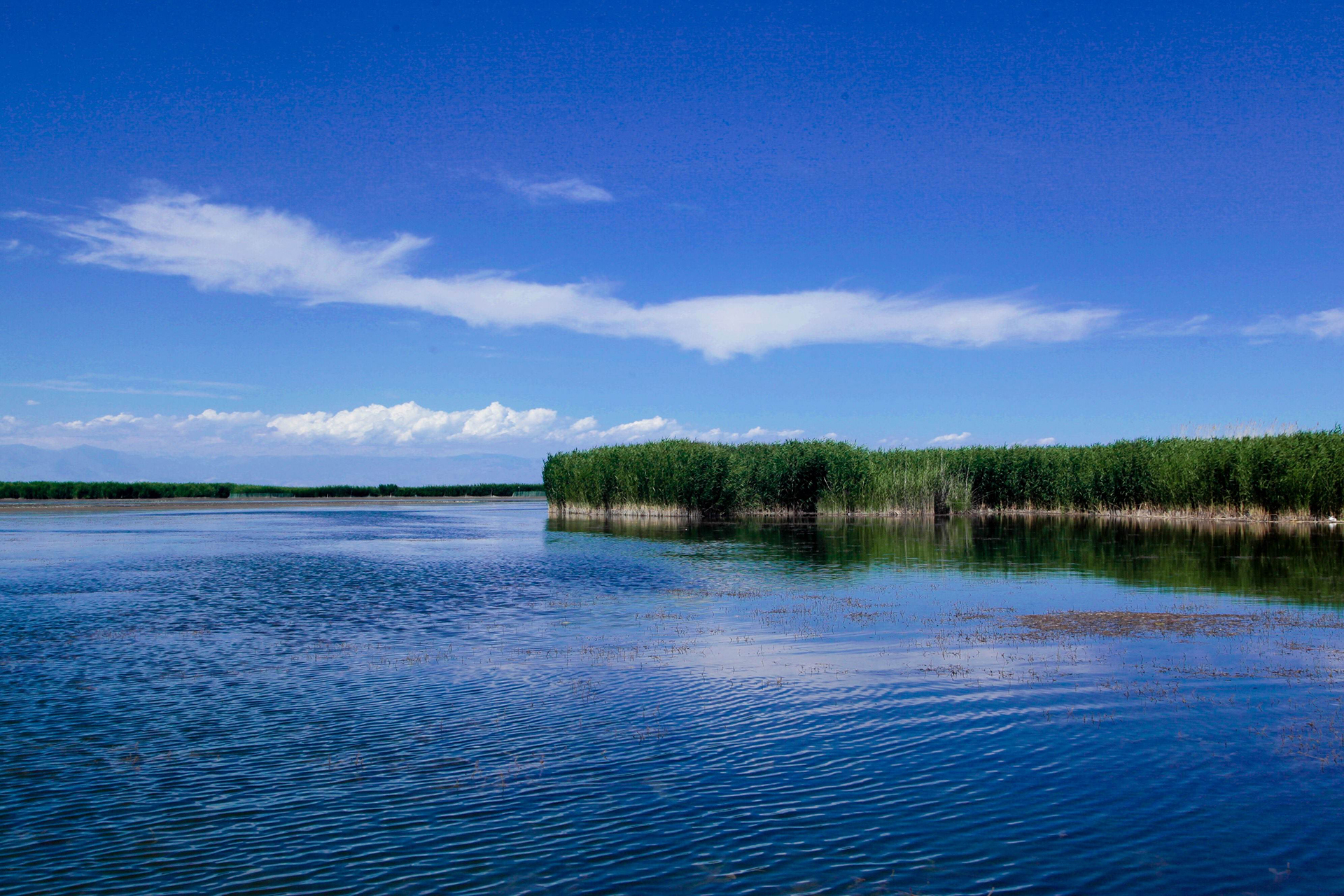 博斯腾湖-博斯腾湖3