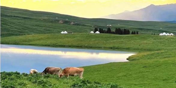 伊犁-独库-南疆14日游-图片46