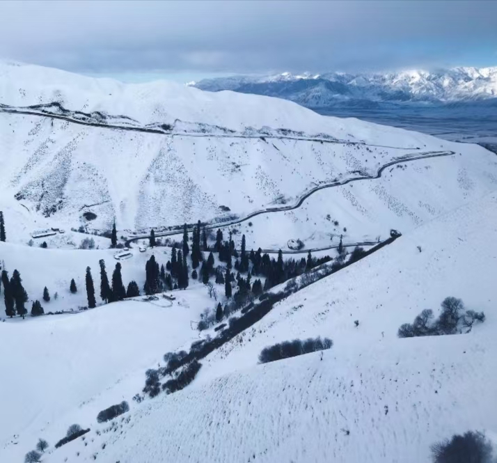 冬季景区图片-那拉提-微信图片_20250115173201