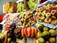 5水果、干果-水果2