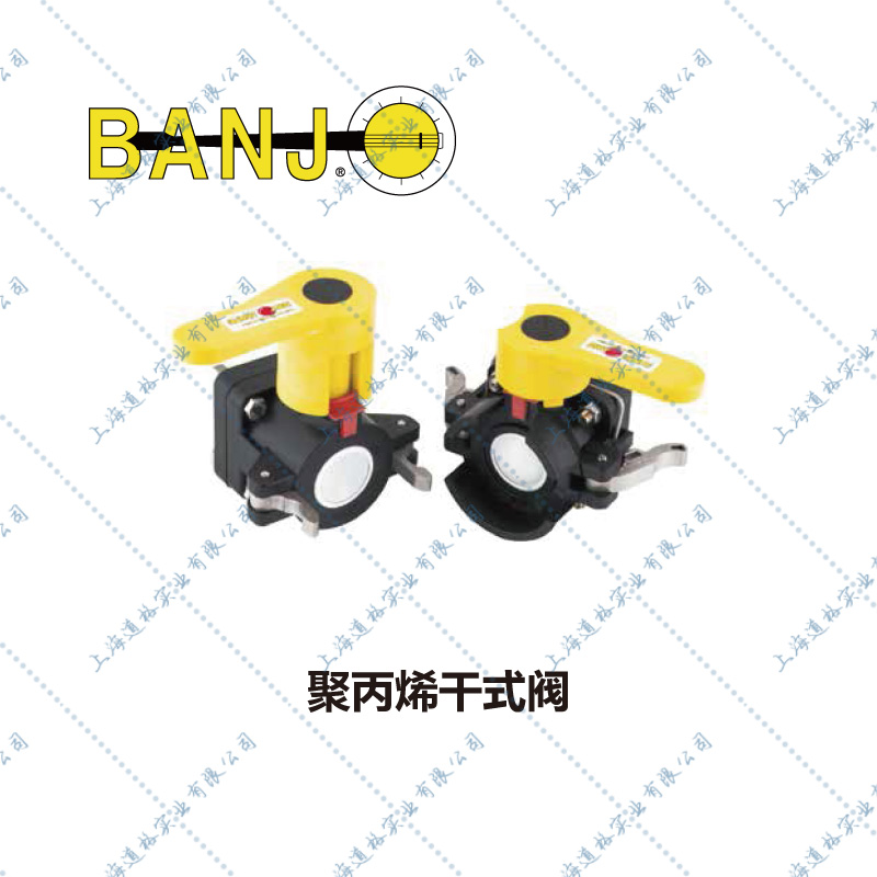 Banjo聚丙烯干式阀1