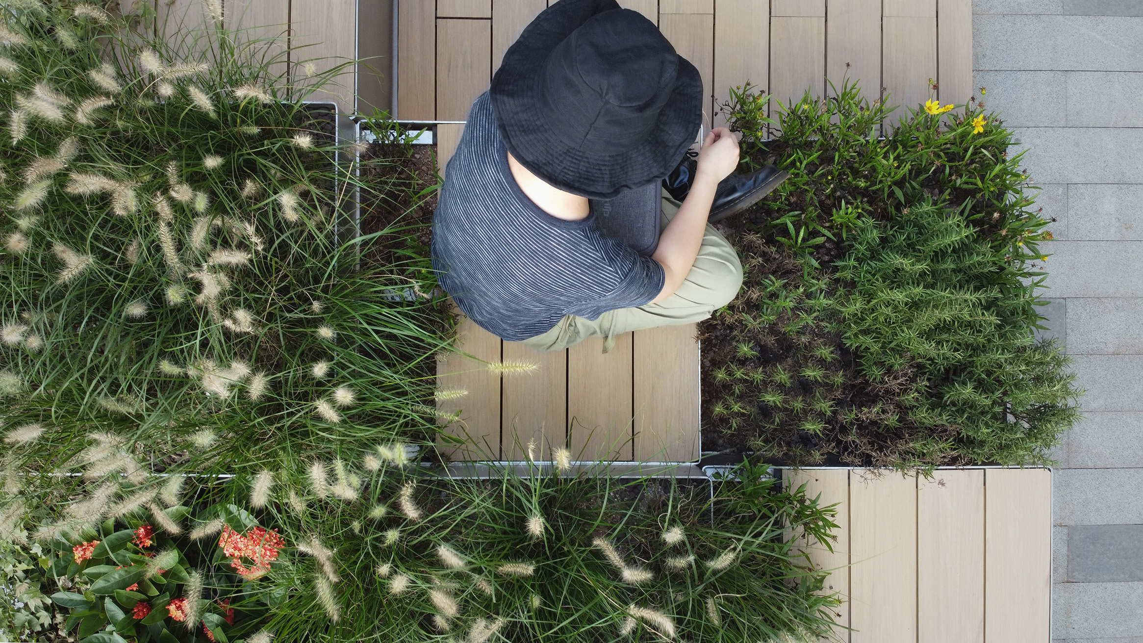 街头插件花园/深圳  