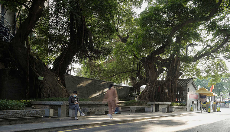 宝安灶下村景观改造/深圳    