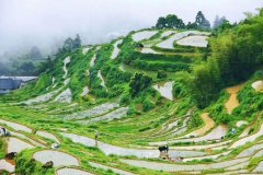 “我在丽水等你”变为现