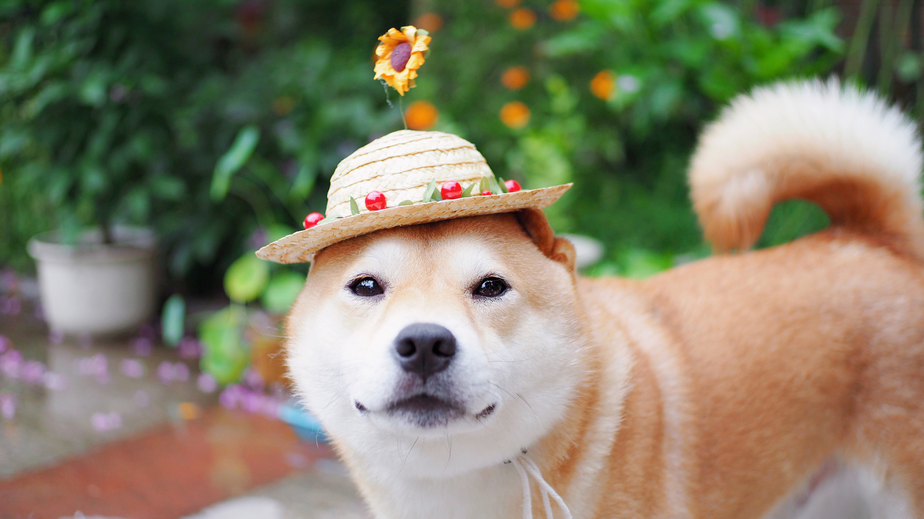 馒头照片-网站背景03