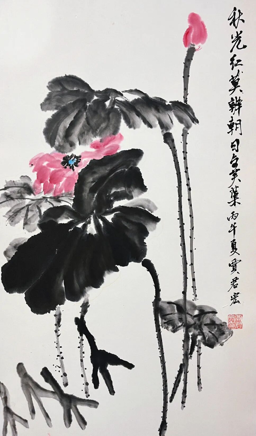 贾宏君.jpg