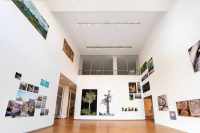 compressed-images-3-5