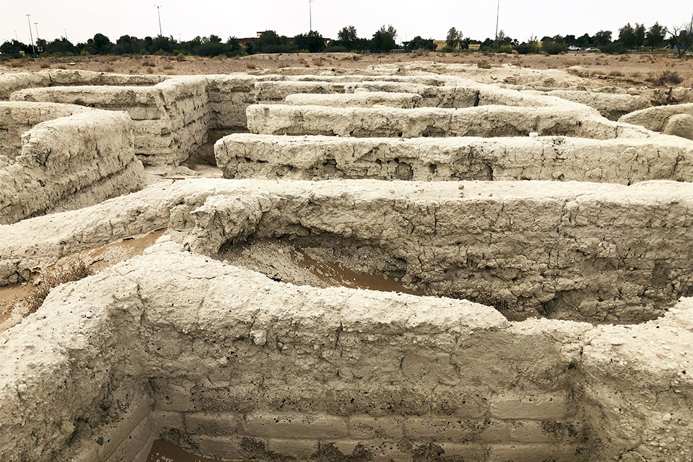Hili_web01