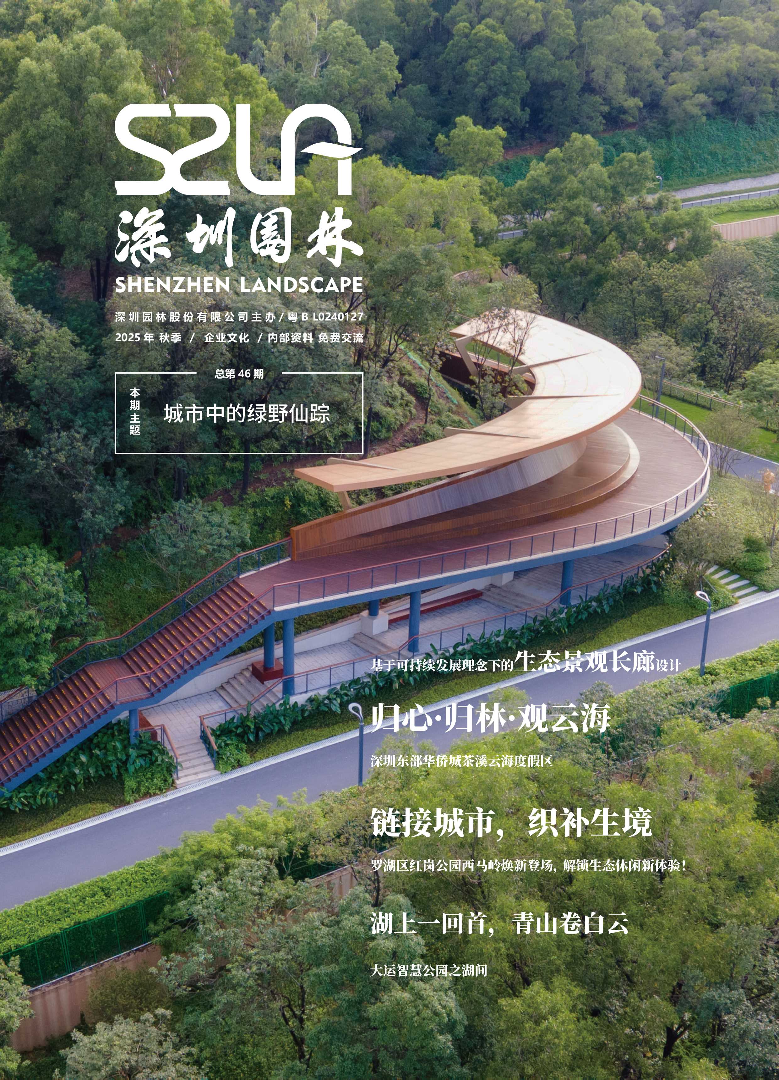 城市中的绿野仙踪