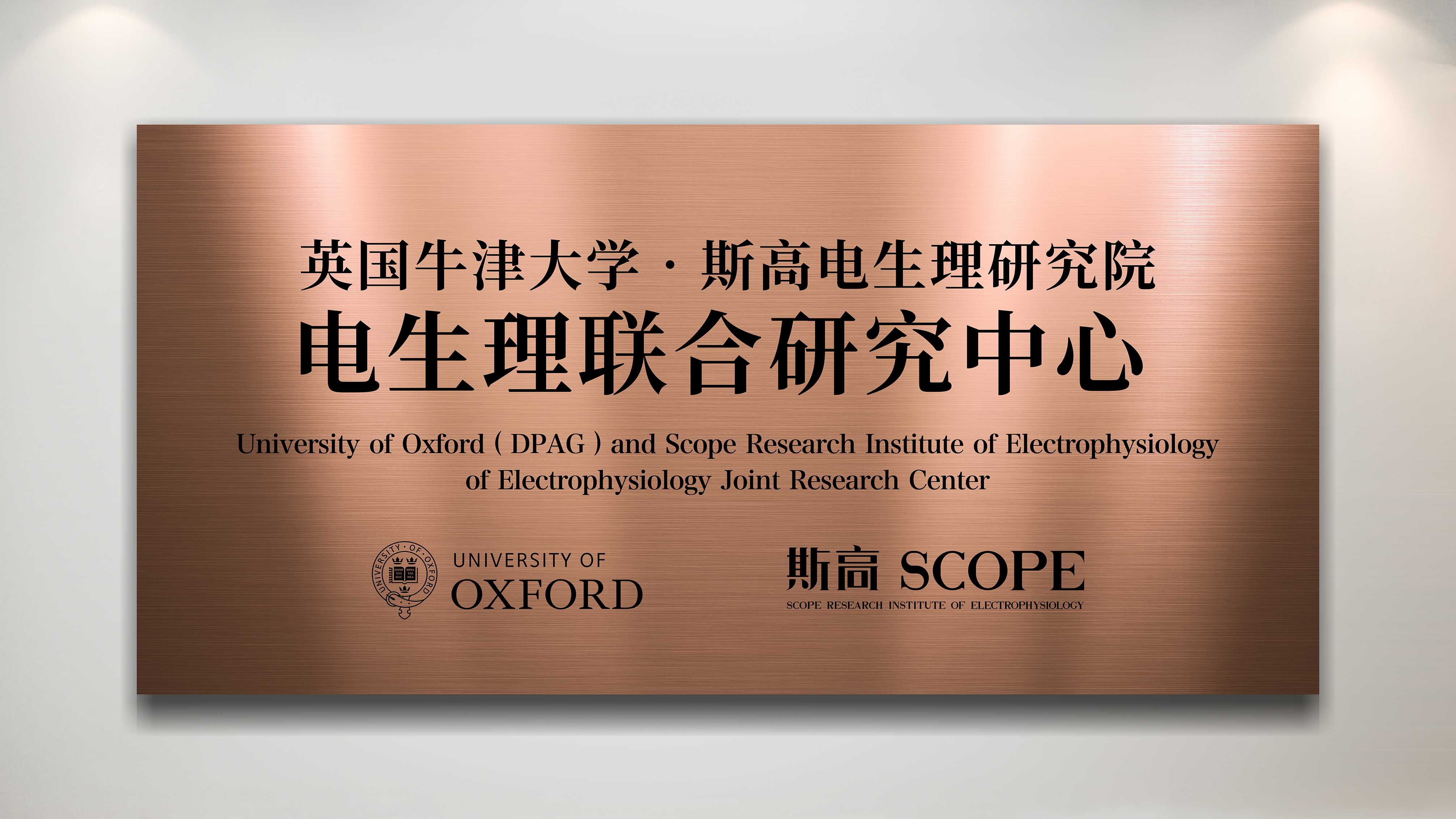 PC-通栏容器06-我们的团队01