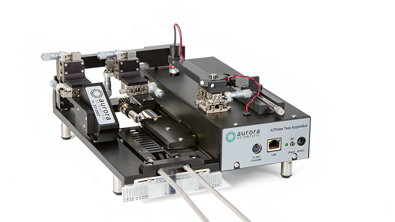 804A-ASI_804A_ATPase_front_01-WEB