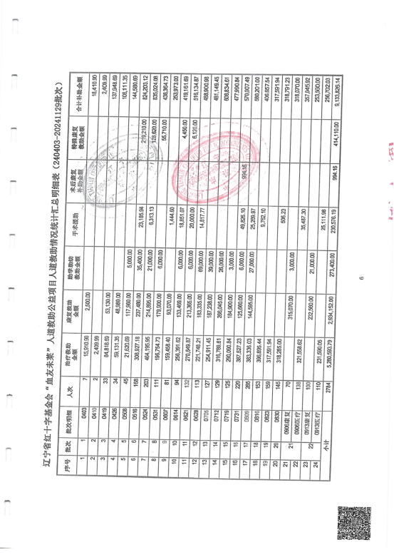 辽宁省红十字基金会血友未莱人道公益项目专项审计报告（2024）_07