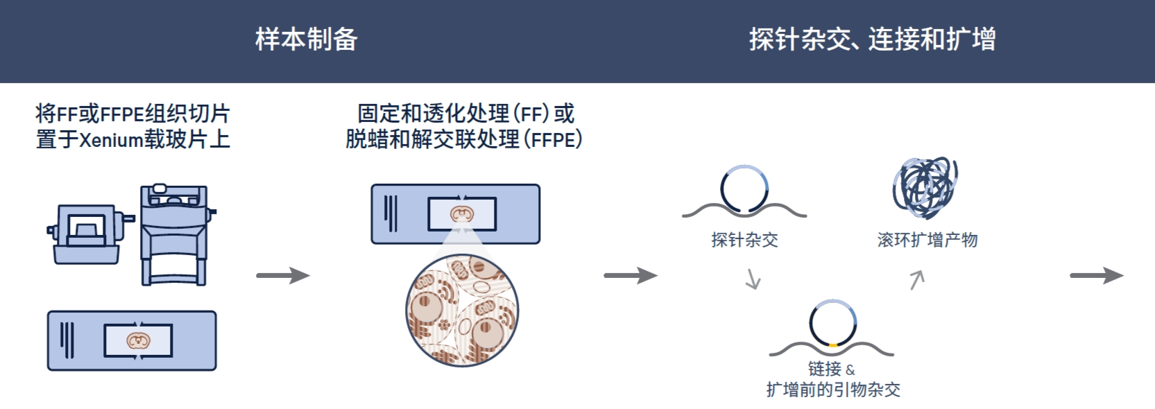 f9d9f006-11b4-480e-8f4b-dc782ad3e55f