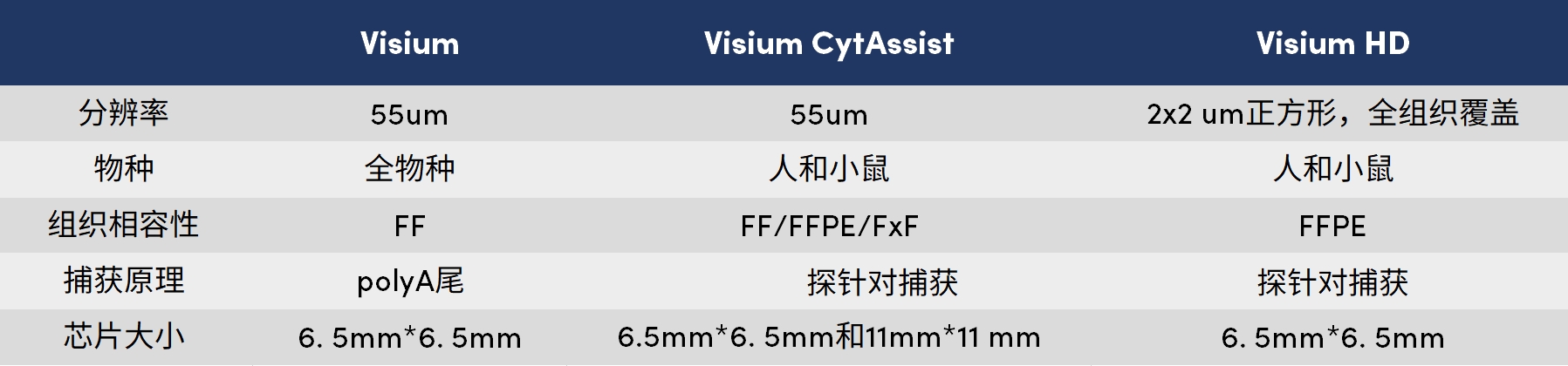 f9d9f006-11b4-480e-8f4b-dc782ad3e55f