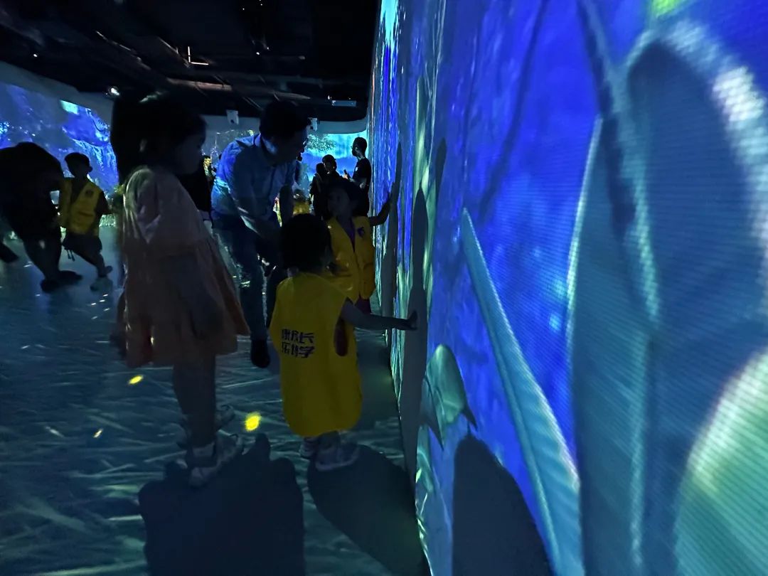 [9]趣玩夏日｜来王国与仲夏夜萤火虫开启奇幻之旅！