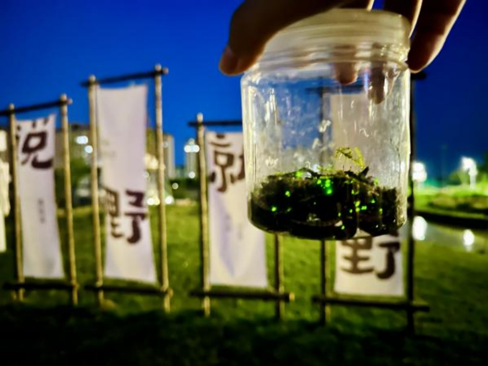 [2]趣玩夏日｜来王国与仲夏夜萤火虫开启奇幻之旅！
