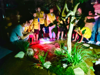 [6]趣玩夏日｜来王国与仲夏夜萤火虫开启奇幻之旅！