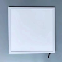 IP65 600 x 600 LED 