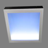 BlueSkyLEDRecessedTrofferLight