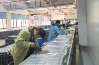 ,YXW-led panel ligh