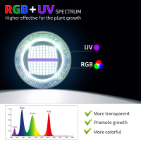 主图3-RGB-UV