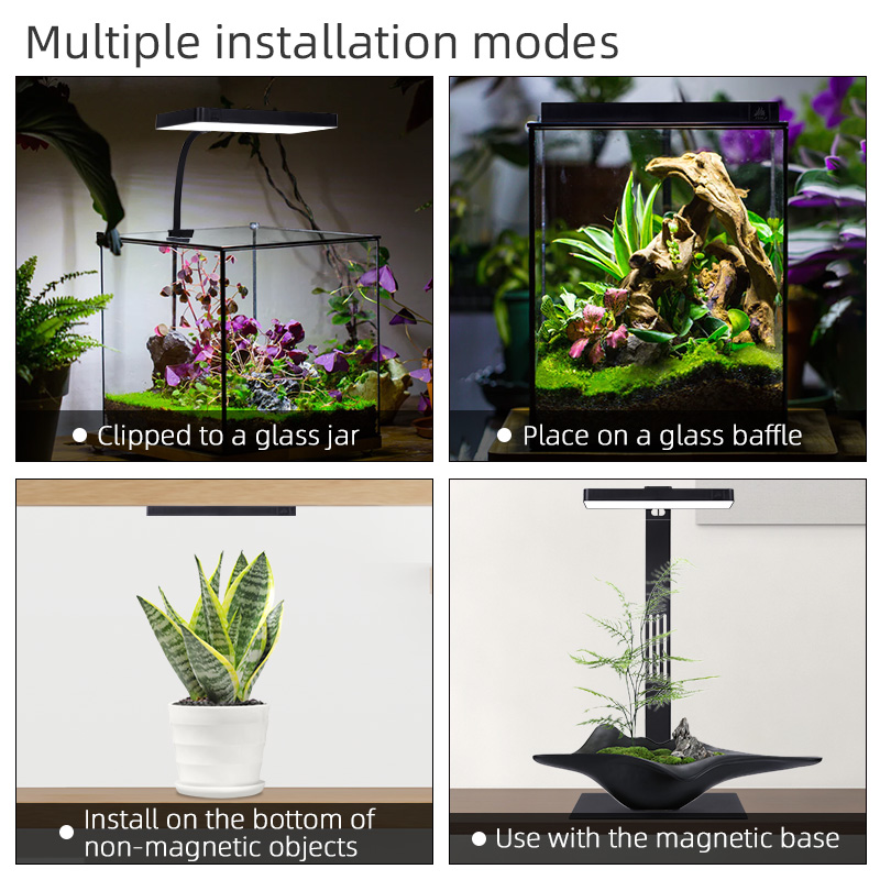 主图-主图2-夹子灯