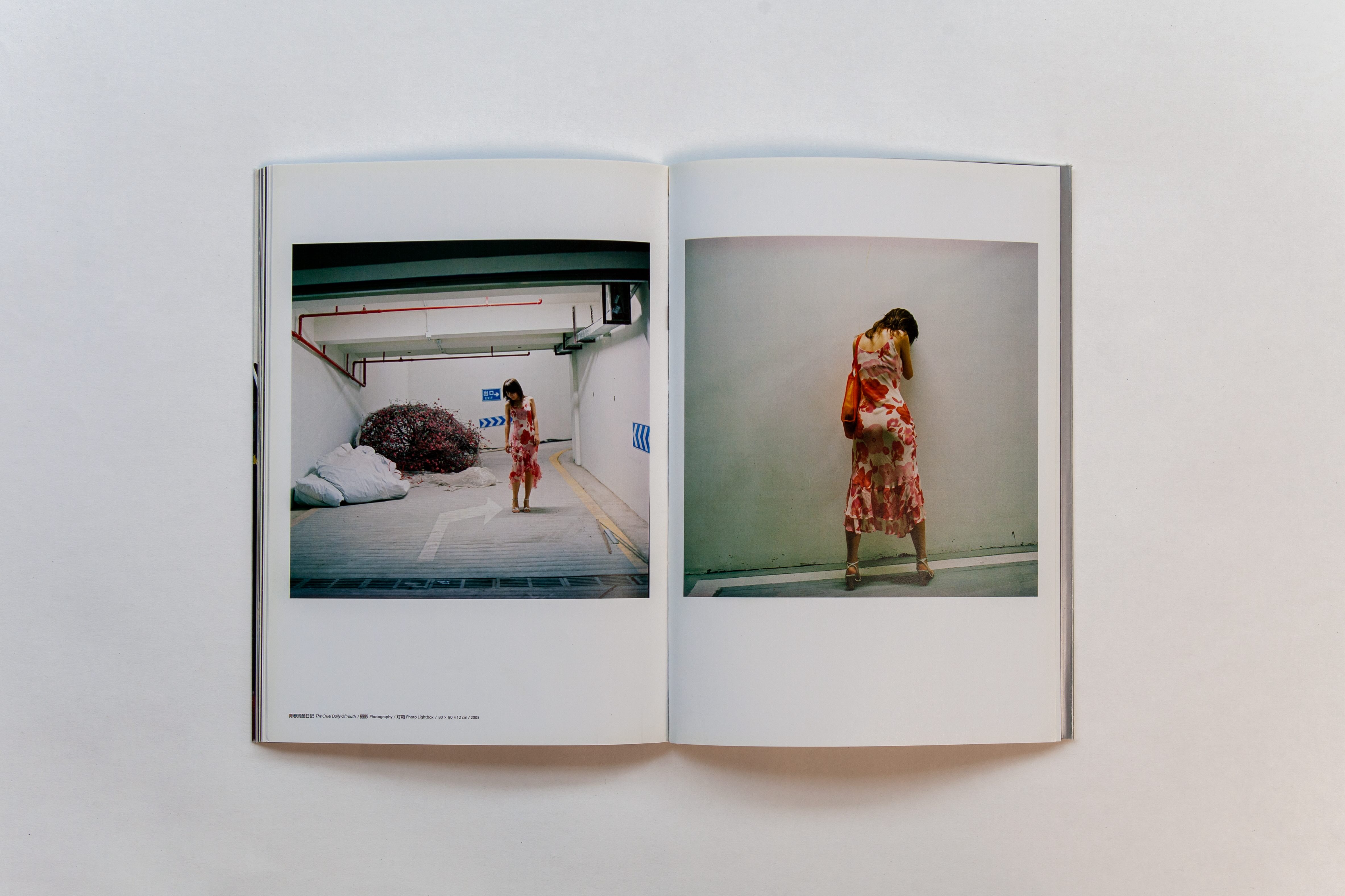 《国际通道：月蚀及之后的发生》Inte