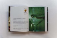 《杨勇 Yang Yong》