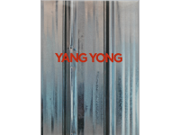 杨勇画册网站封面