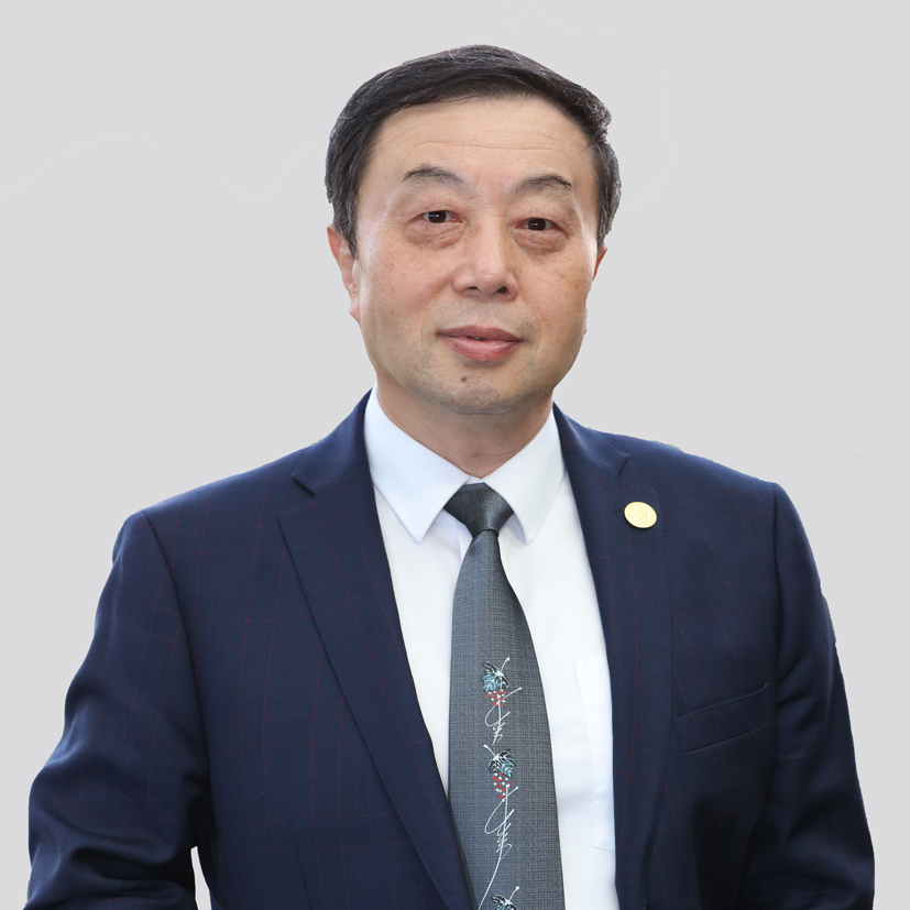 PC-通栏容器06-我们的团队01