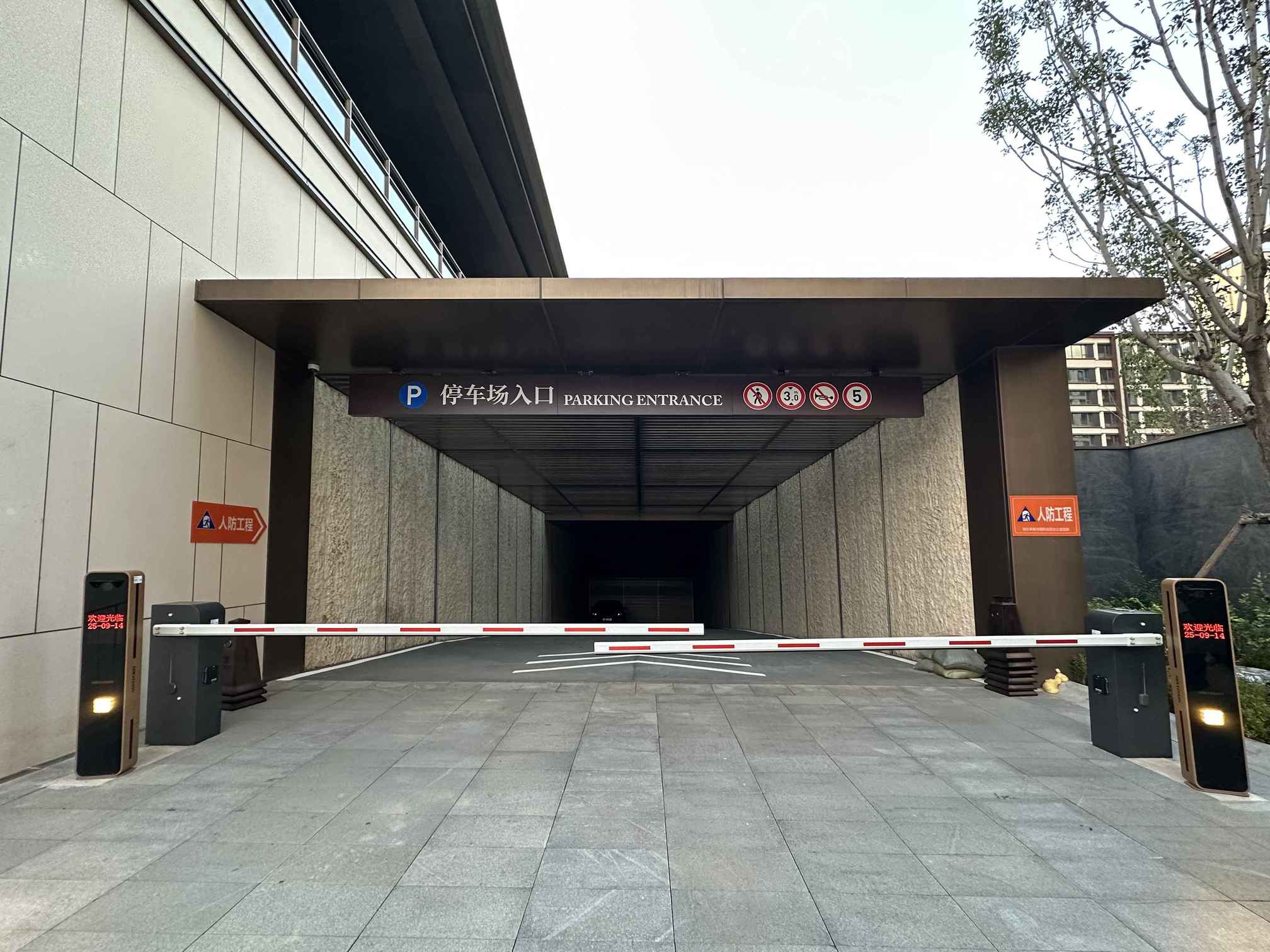 IMG_5504_结果_结果