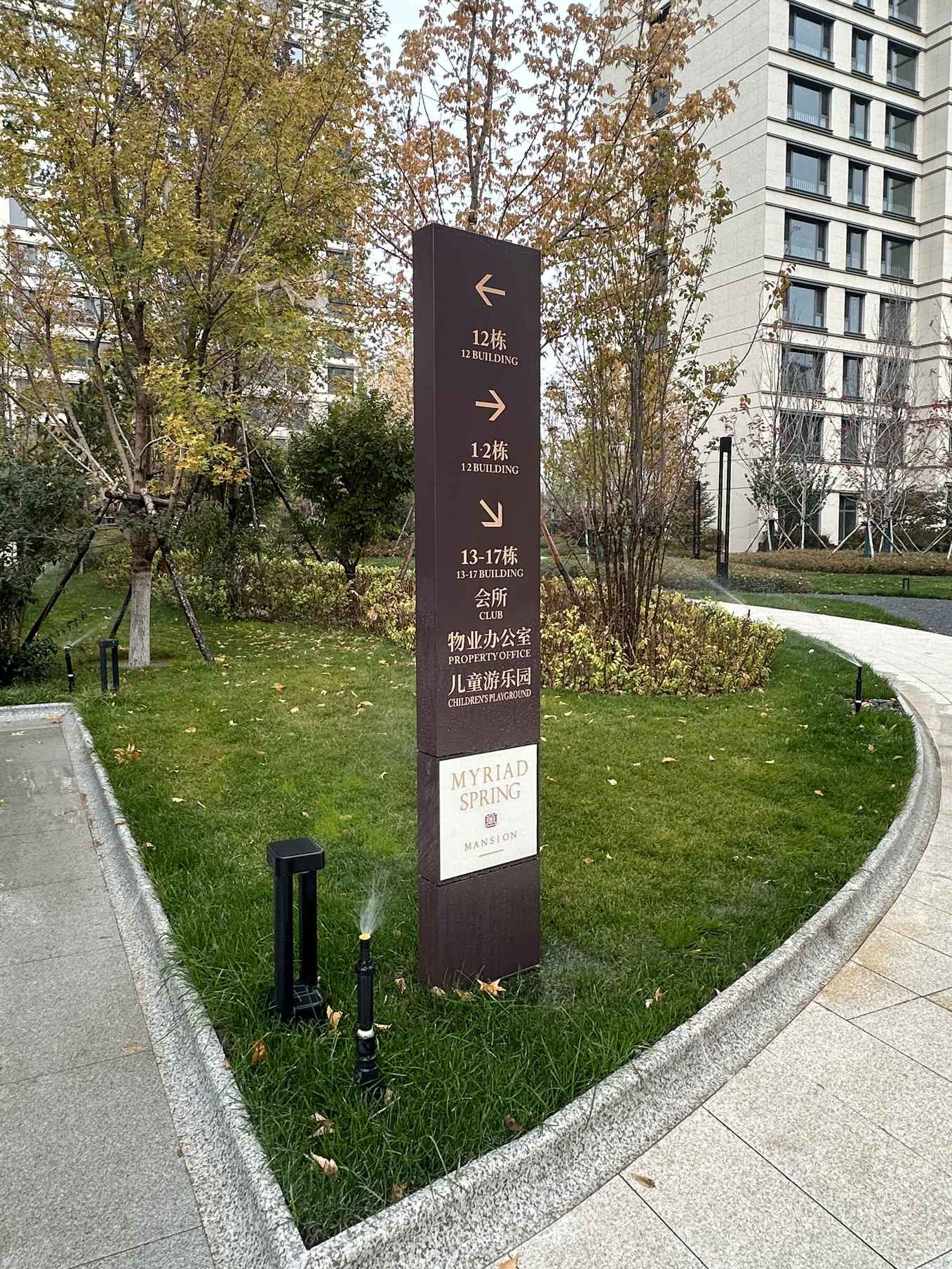 IMG_6399_结果_结果