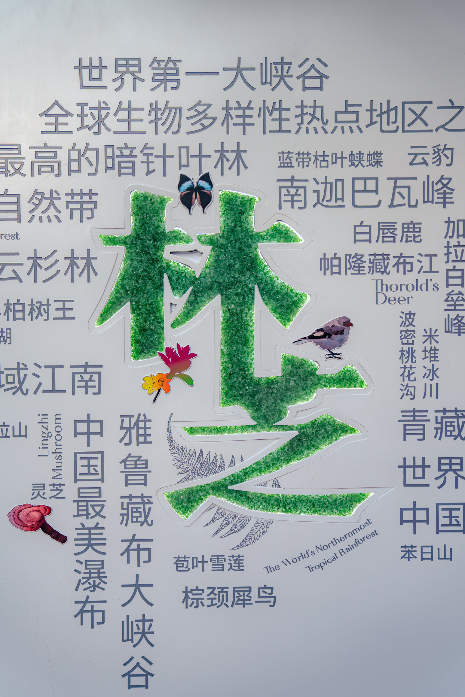 4-_结果