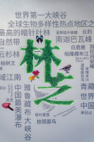 4-_结果