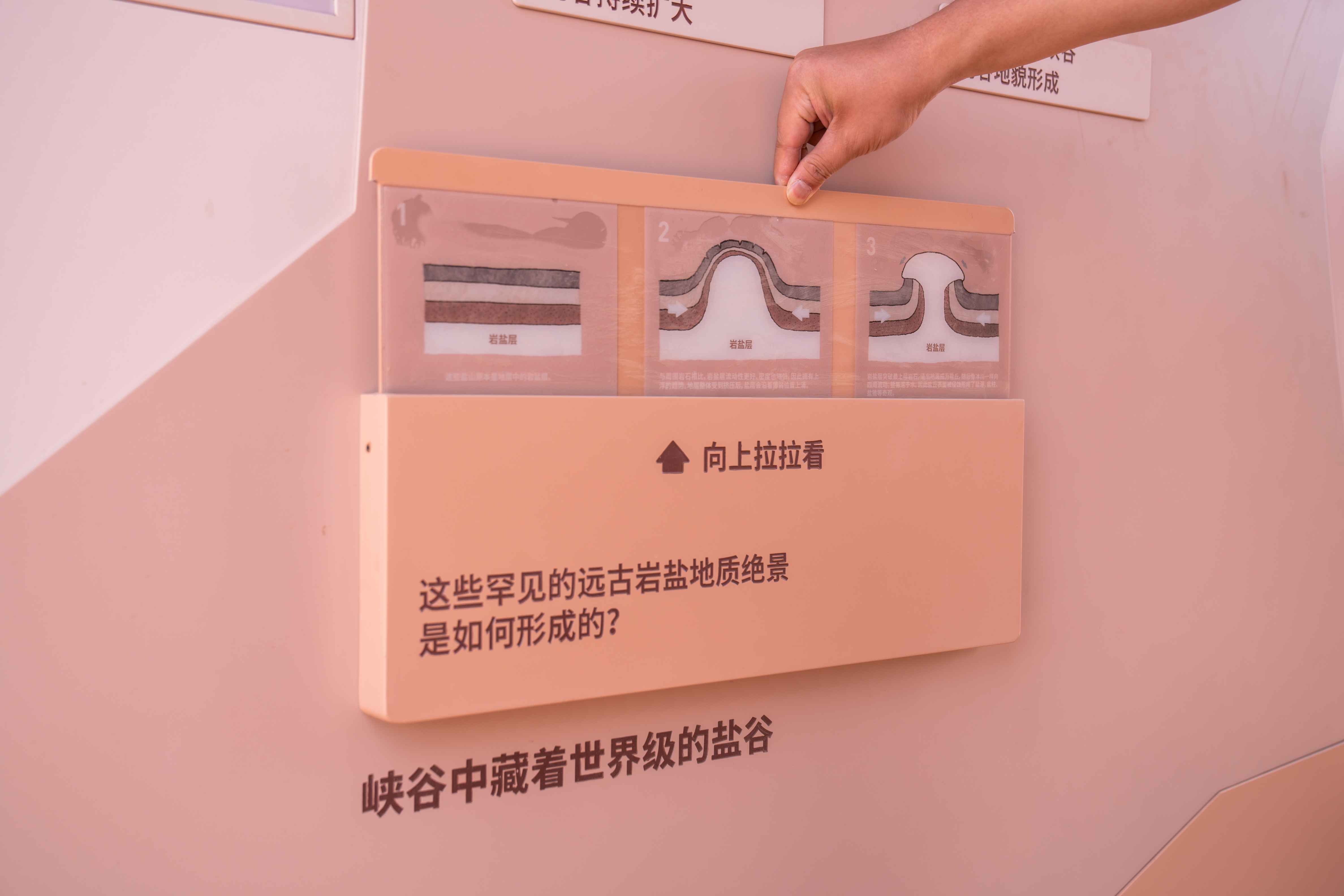 5_结果