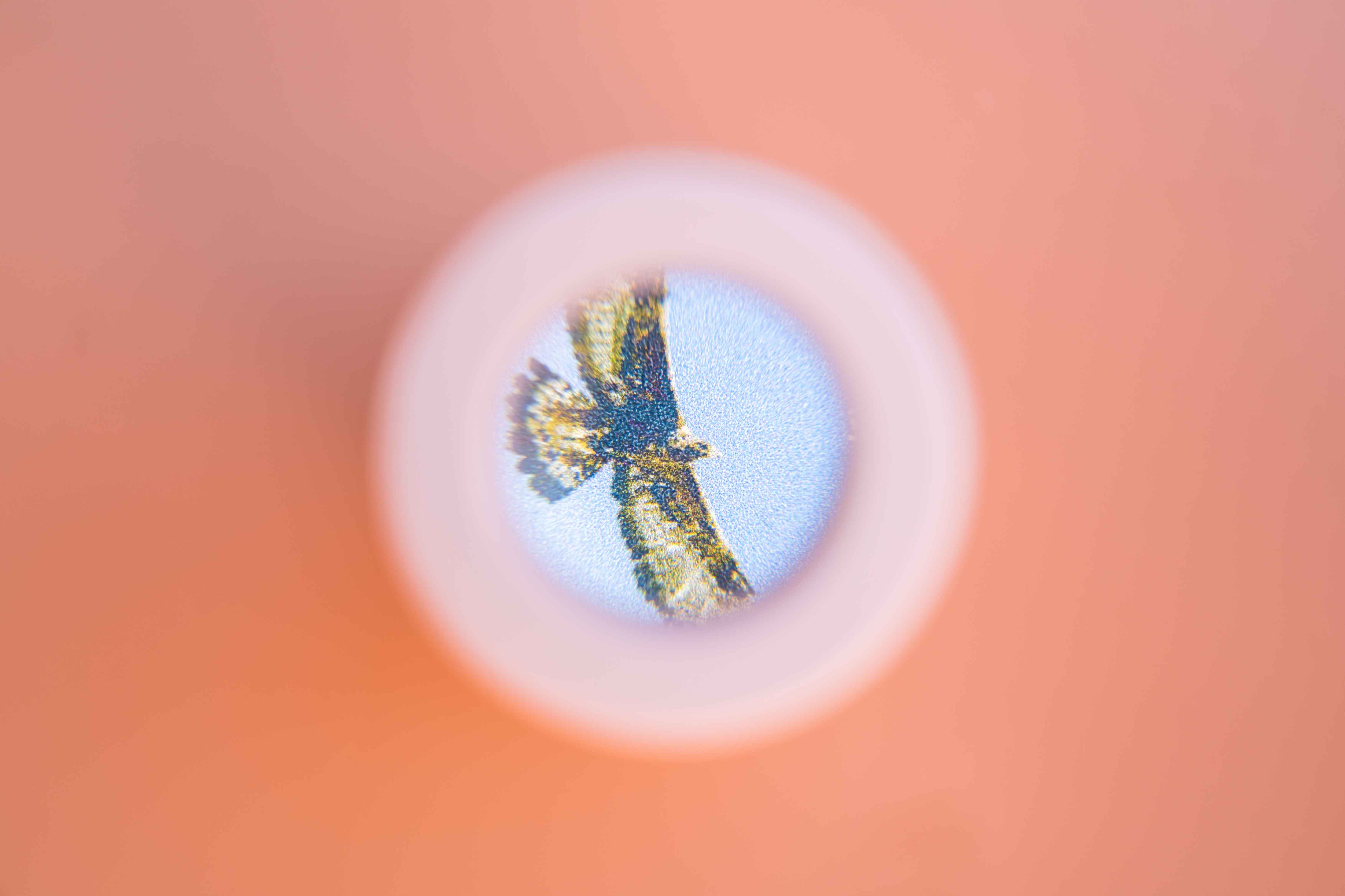 9_结果