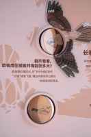 5_结果