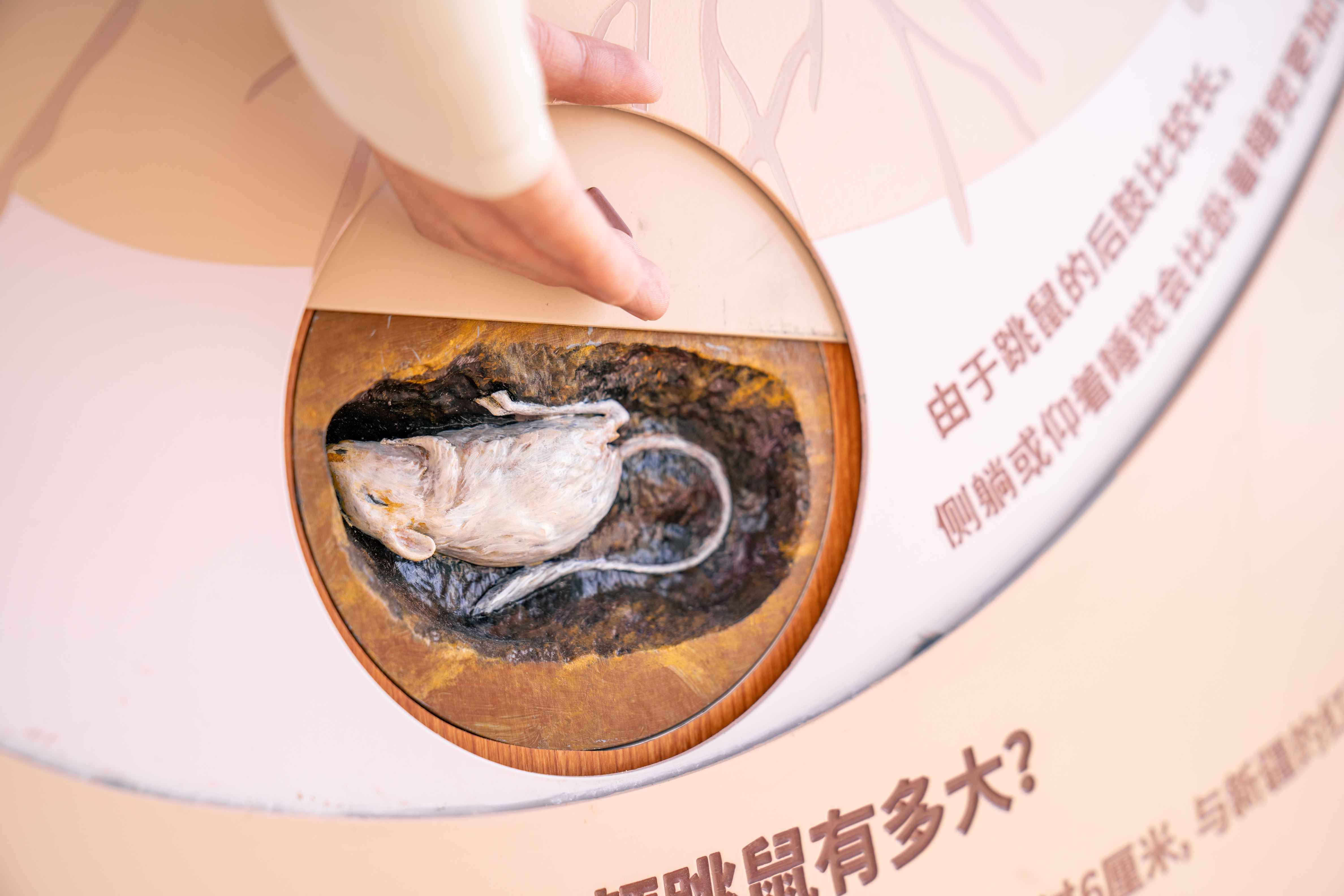 7_结果