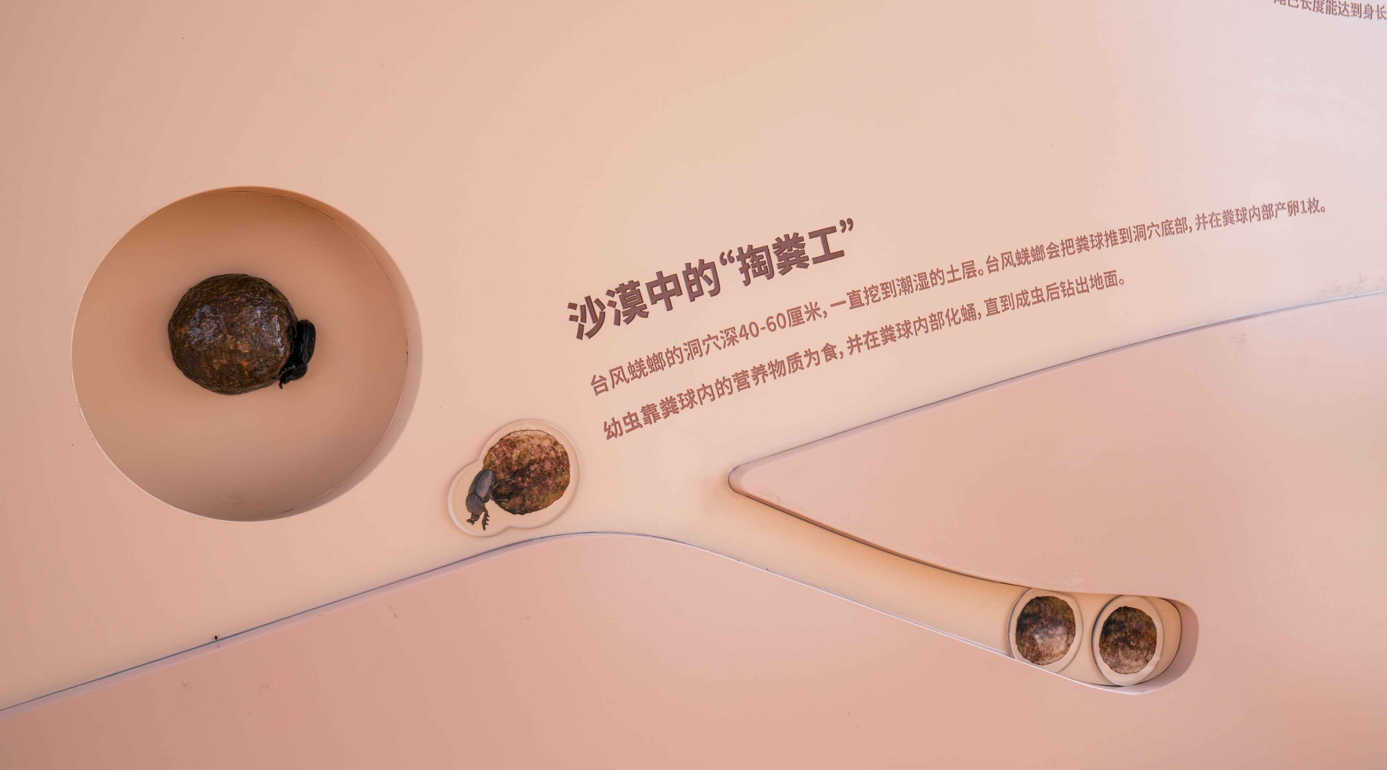 8_结果