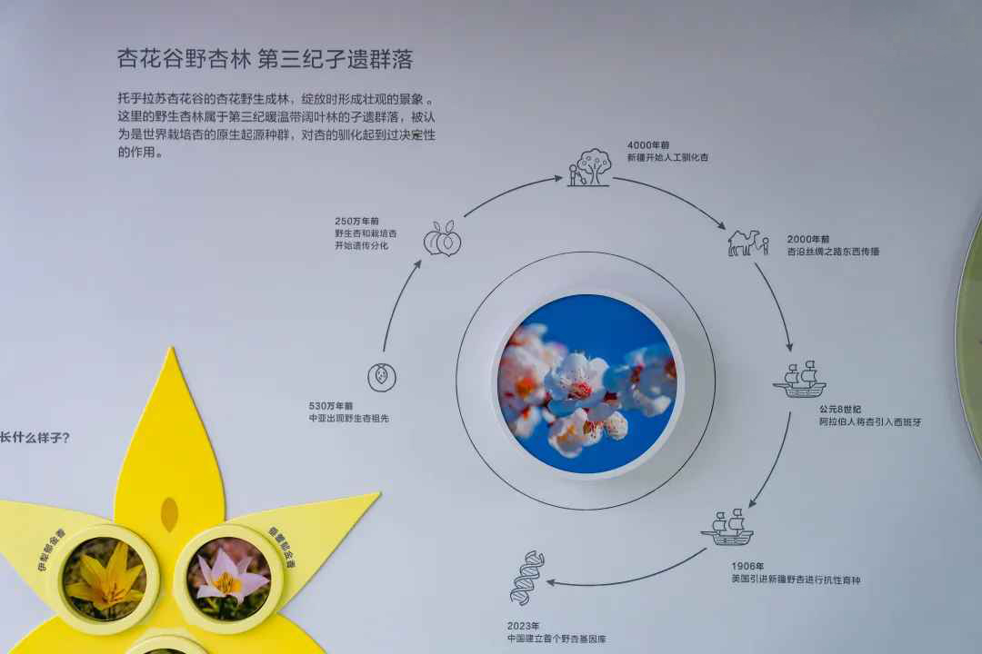 2_结果