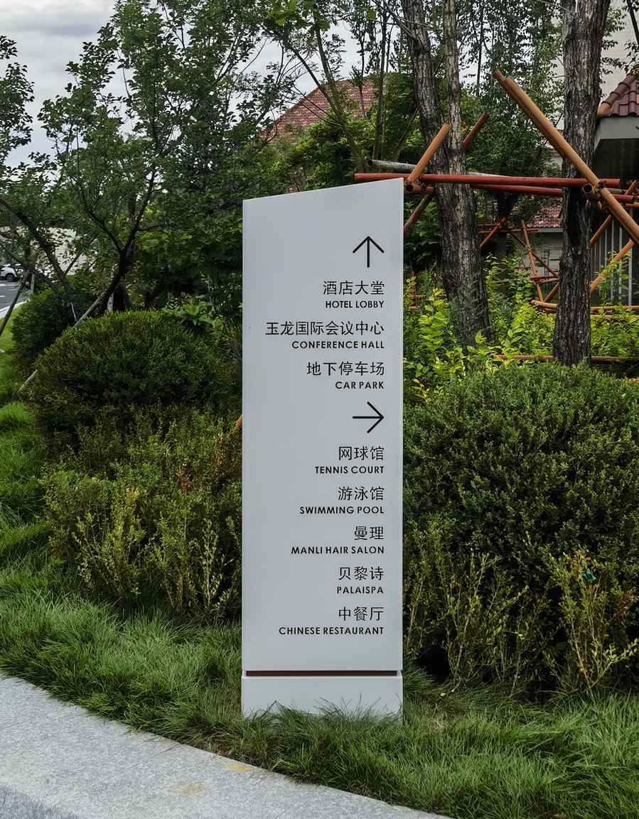 20250801-26_结果