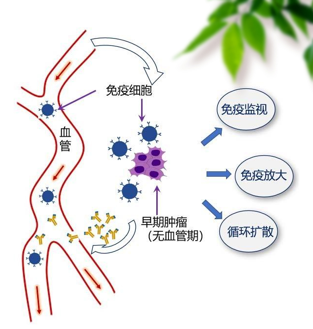 PC-通栏容器06-我们的团队01