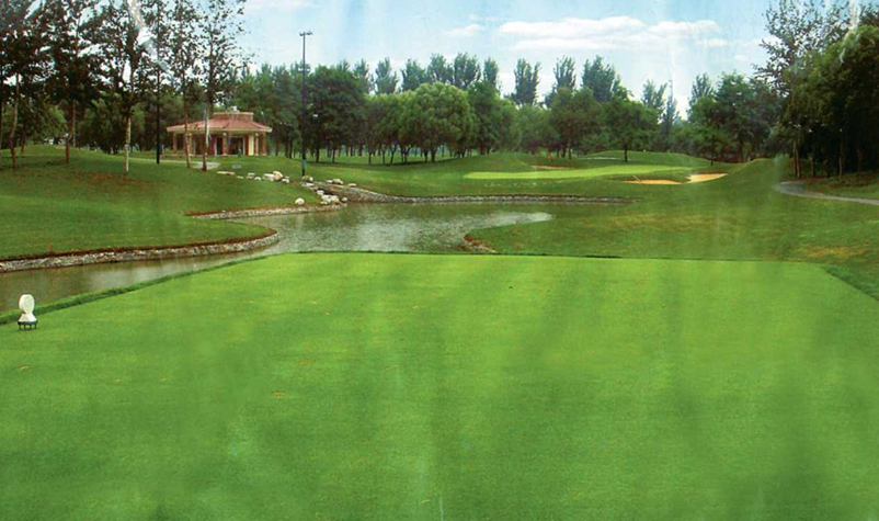 A5935905-EE96-4913-81FE-86EE17903F84