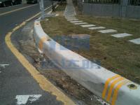 台湾珍珠道钉20101210_1058