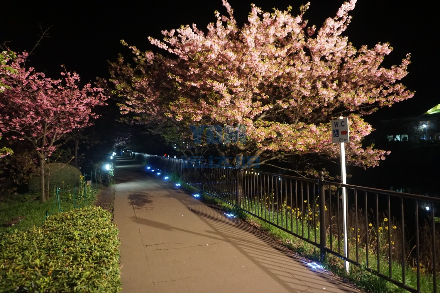 2019超薄道钉日本-2019超薄道钉日本01