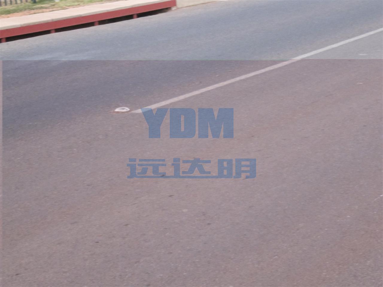 2012南非-2012南非珍珠道钉-南非20120530_2940