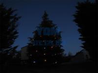 2012.12新西兰圣诞树-2012.12新西兰圣诞树03-enhance